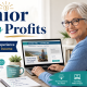 Senior Blog Profits