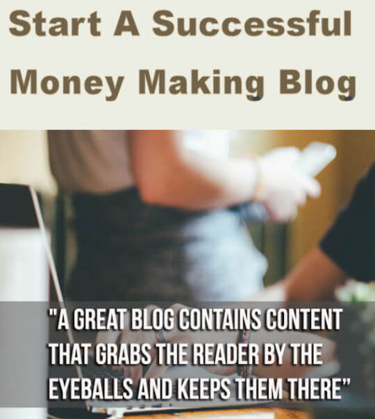 Successful Money Making Blog
